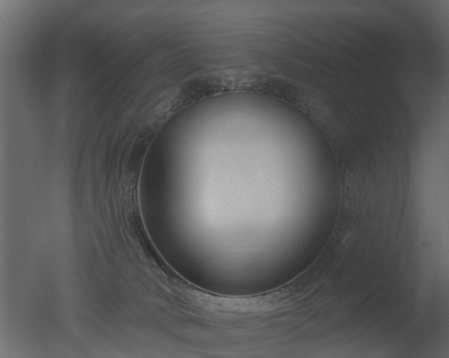 X0000050720034200506151925