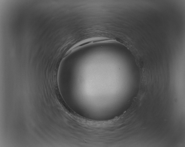 X0000050720043200506151925