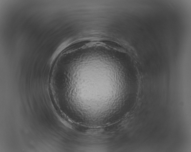 X0000050720051200506151924