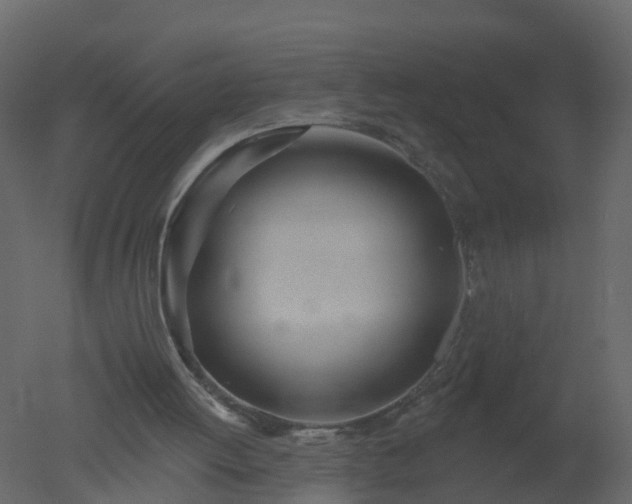 X0000050720052200506151924
