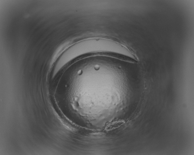 X0000050720053200506151924