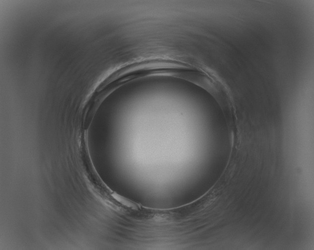 X0000050720060200506151924