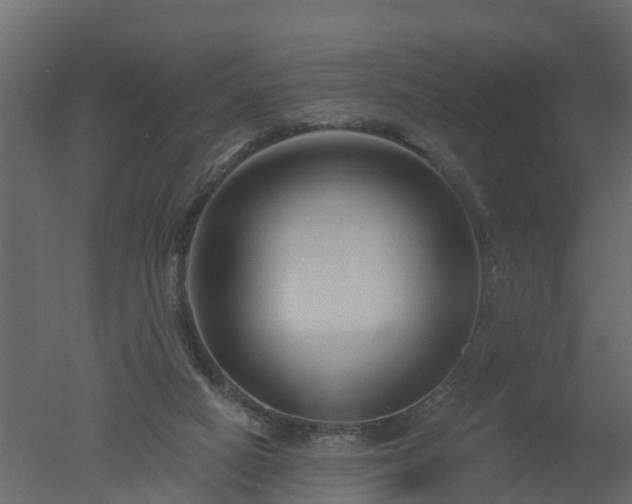 X0000050720066200506151925