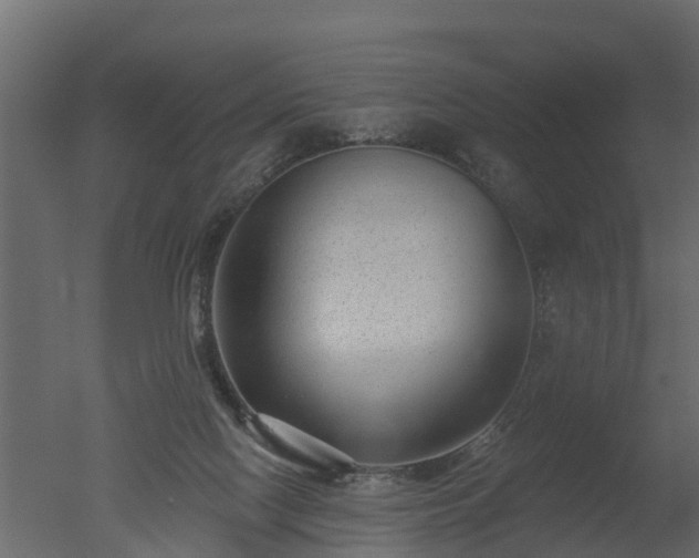 X0000050720074200506151925