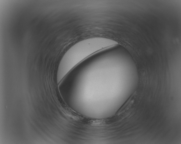 X0000050720088200506151925