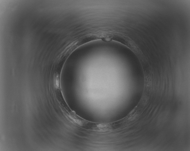 X0000050720095200506151925