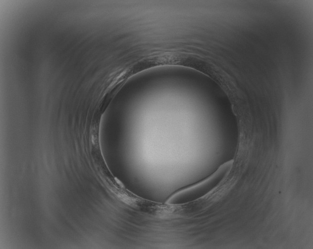 X0000050720096200506151925