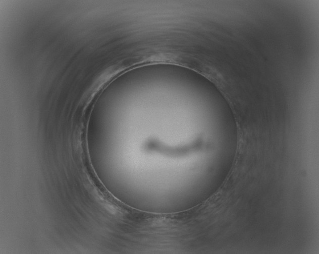 X0000050720098200506151924