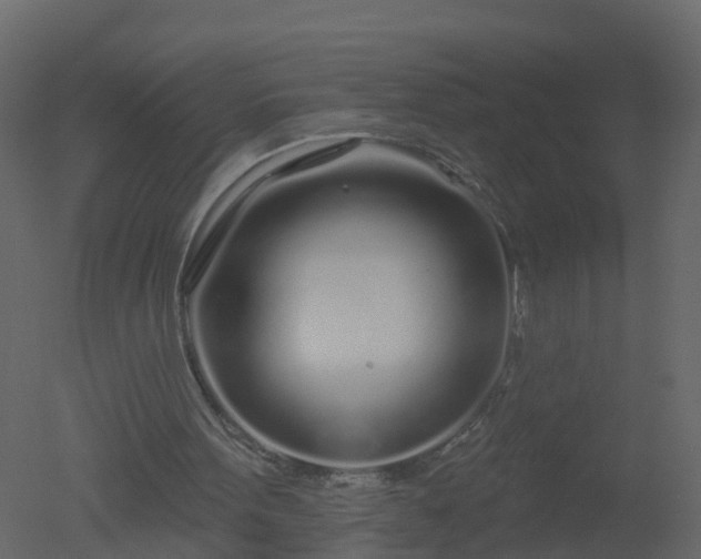 X0000050720099200506151924