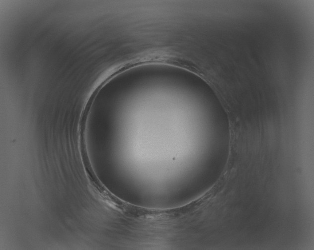 X0000050720100200506151924