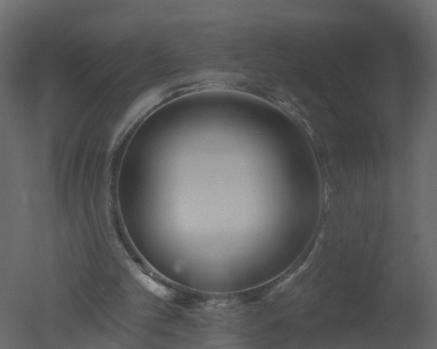 X0000050720101200506151924