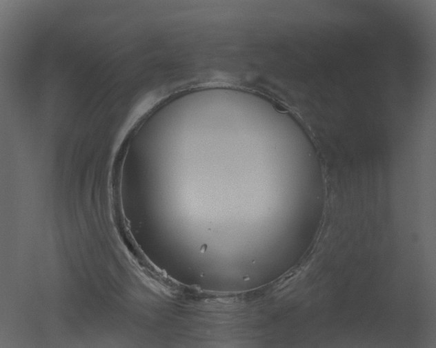 X0000050720102200506151924