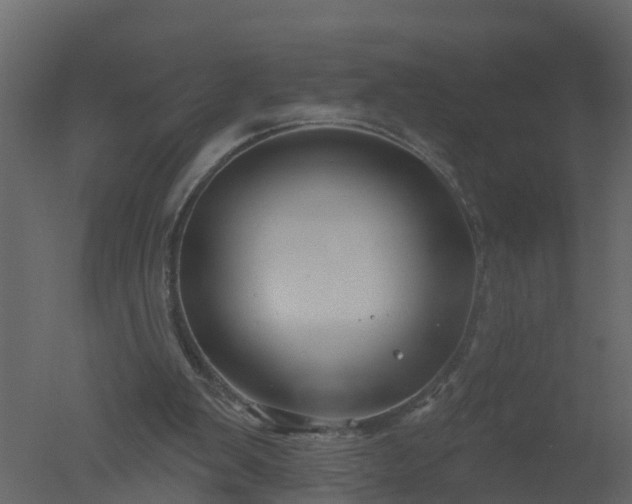 X0000050720103200506151924
