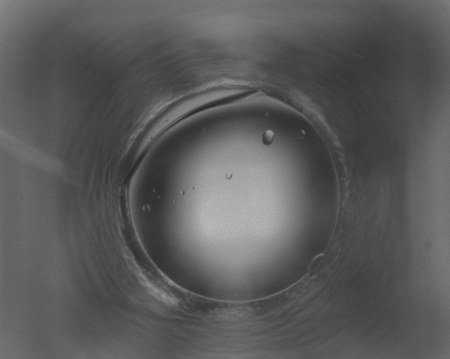 X0000050720106200506151924