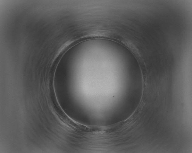 X0000050720108200506151924