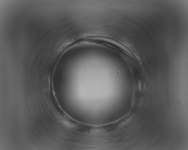 X0000050720109200506151924