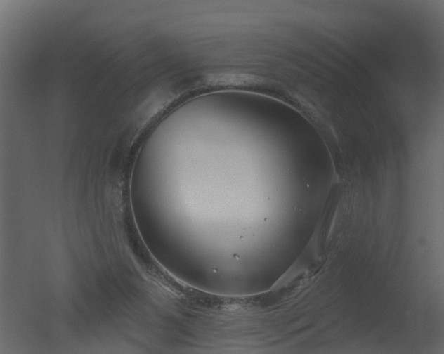 X0000050720111200506151924