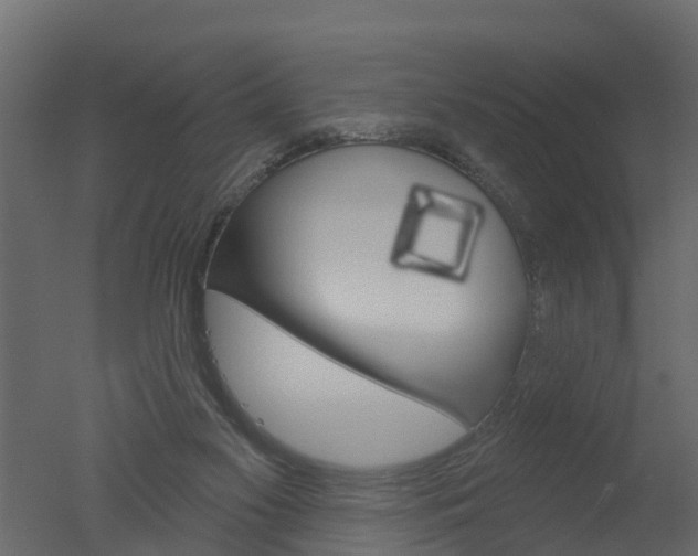 X0000050720117200506151924