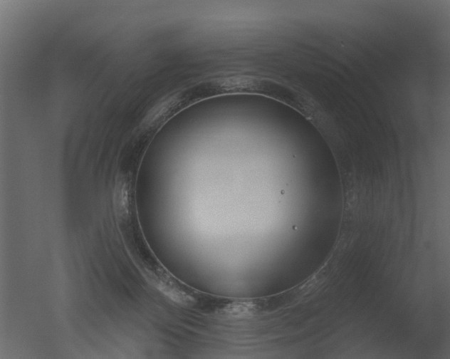 X0000050720124200506151924