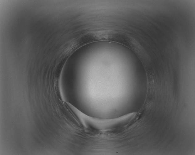 X0000050720125200506151924