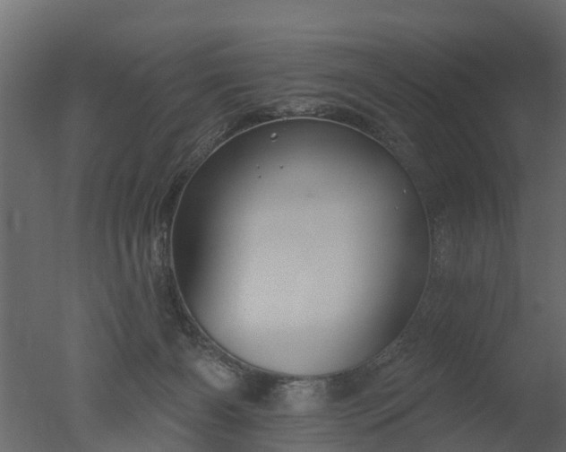 X0000050720126200506151924