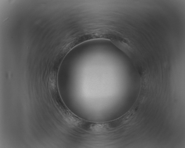 X0000050720129200506151924