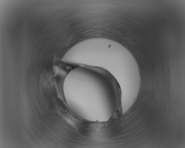X0000050720131200506151924