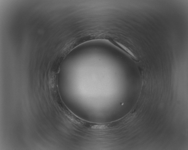 X0000050720133200506151924
