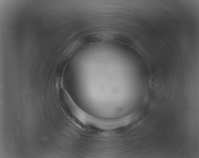 X0000050720141200506151923