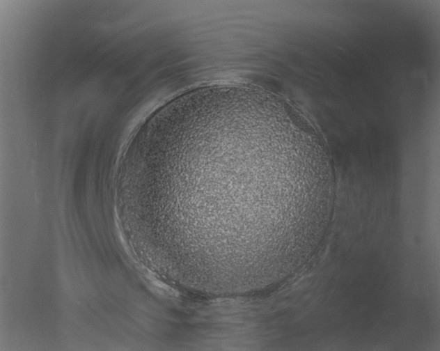 X0000050720145200506151923