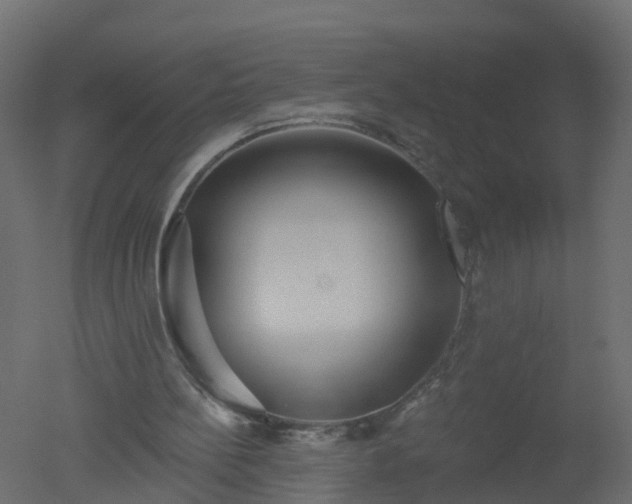 X0000050720148200506151923