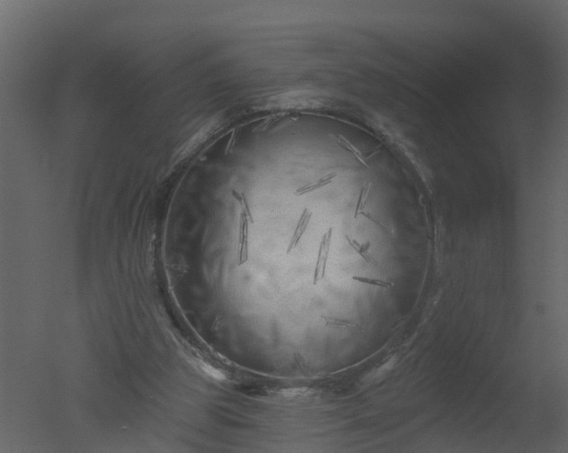 X0000050720153200506151923