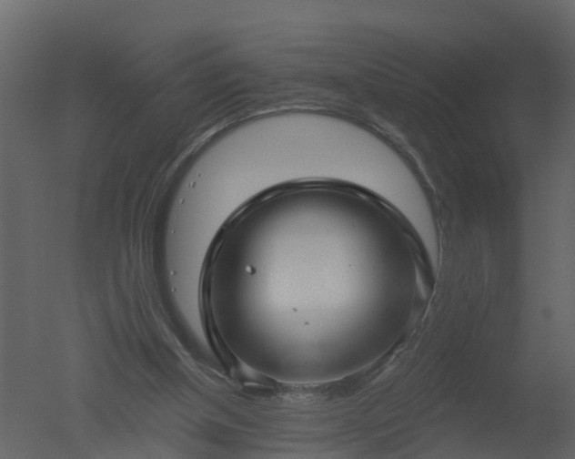 X0000050720154200506151923