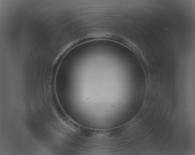 X0000050720155200506151923