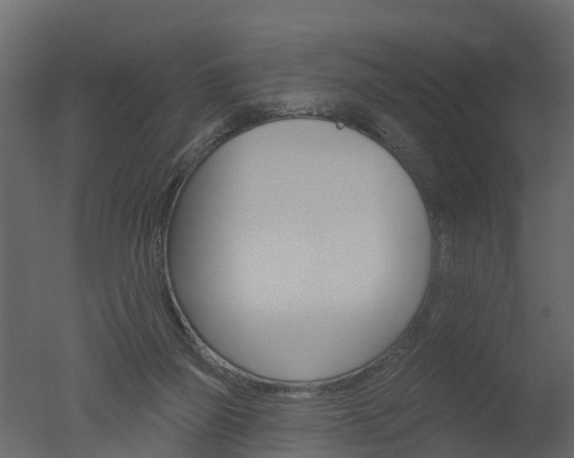 X0000050720165200506151923