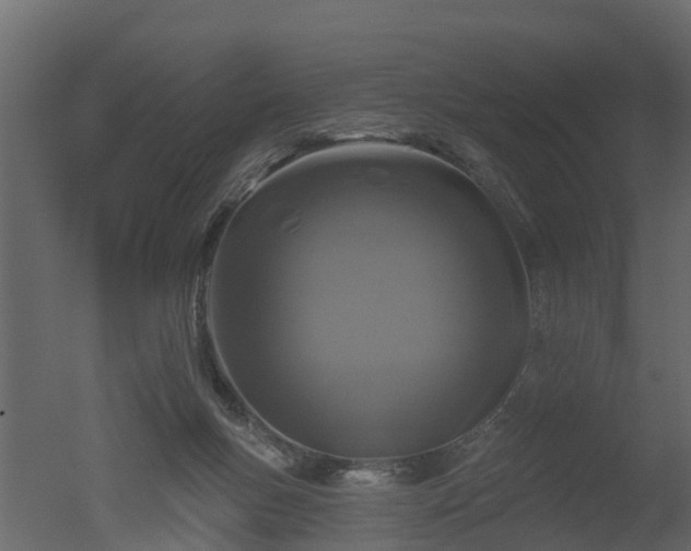 X0000050720167200506151923