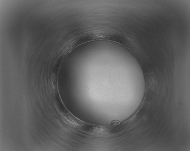X0000050720174200506151923