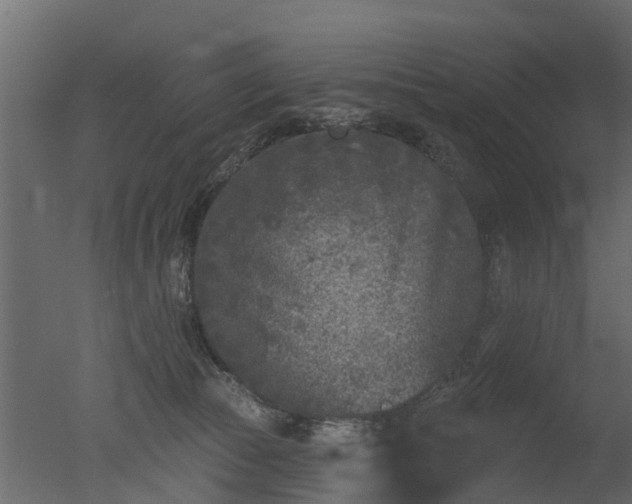 X0000050720177200506151923