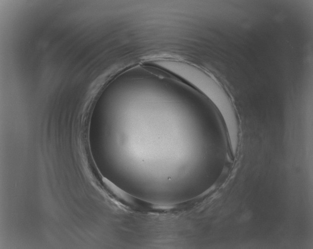 X0000050720193200506151923