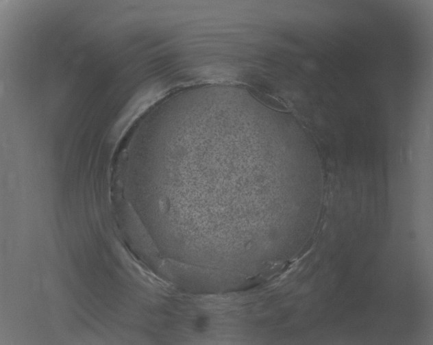 X0000050720194200506151923