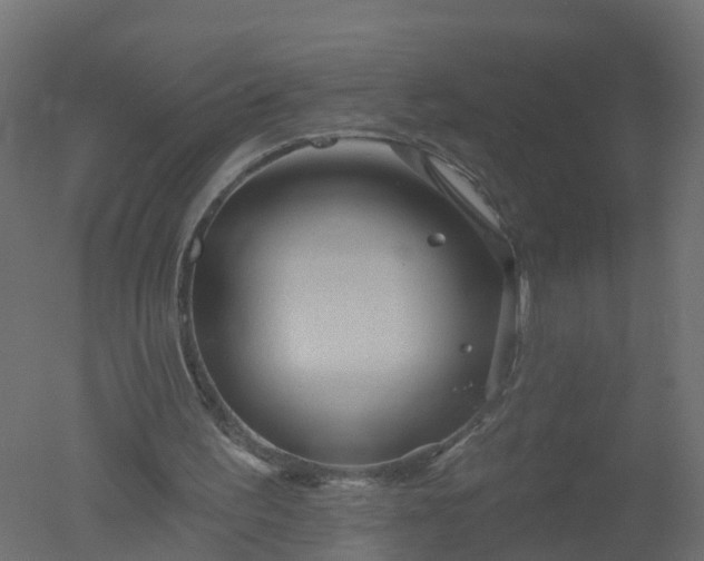 X0000050720195200506151923