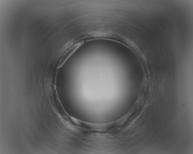 X0000050720201200506151922