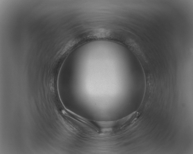 X0000050720212200506151922