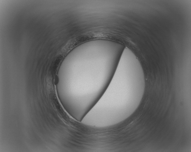 X0000050720213200506151922