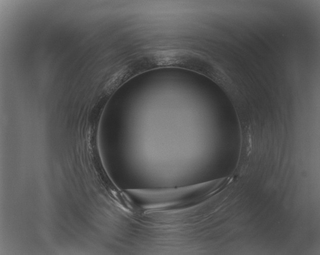 X0000050720219200506151922