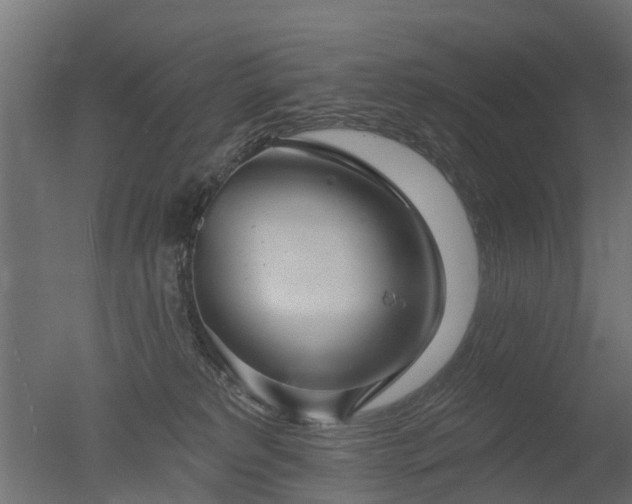 X0000050720229200506151922