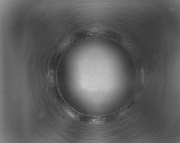 X0000050720232200506151922
