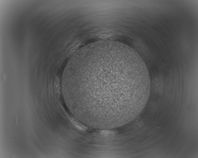 X0000050720234200506151922