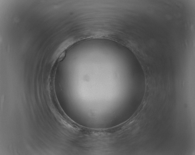 X0000050720242200506151921