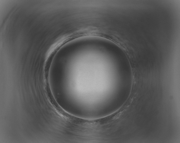 X0000050720245200506151921